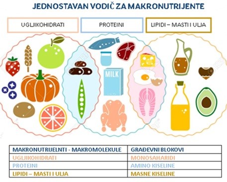 makronutrijenti